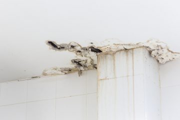 vocht in de muur door lekkage