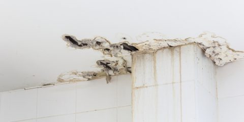 vocht in de muur door lekkage