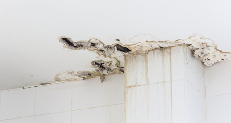 vocht in de muur door lekkage