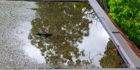 water op plat dak
