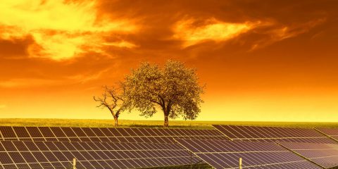 energie cooperatie