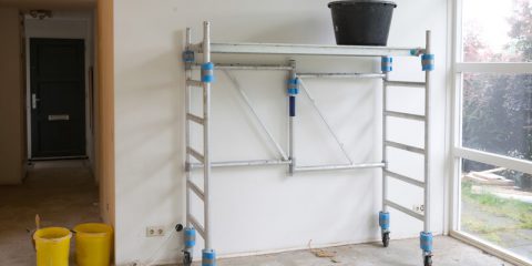 rolsteiger