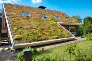 voordelen van een groen dak