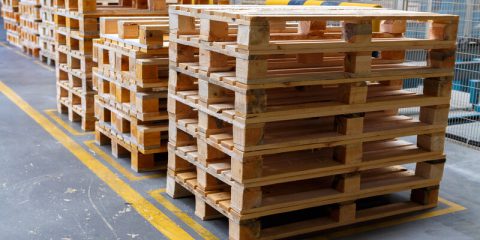pallets afmetingen