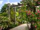 tuin renovatie