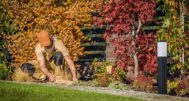 je tuin klaar voor de herfst