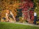 je tuin klaar voor de herfst